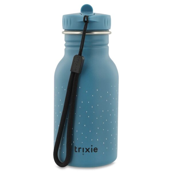 Stainless Steel Bottle 350 ml – Mr. Triceratops