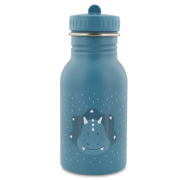 Stainless Steel Bottle 350 ml – Mr. Triceratops