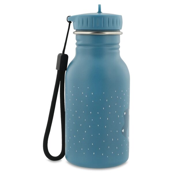 Stainless Steel Bottle 350 ml – Mr. Triceratops