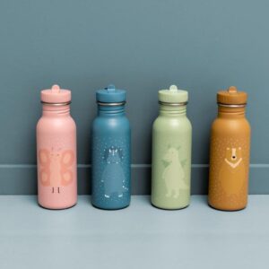 Stainless Steel Bottle 350 ml – Mr. Triceratops