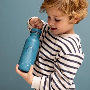 Stainless Steel Bottle 350 ml – Mr. Triceratops