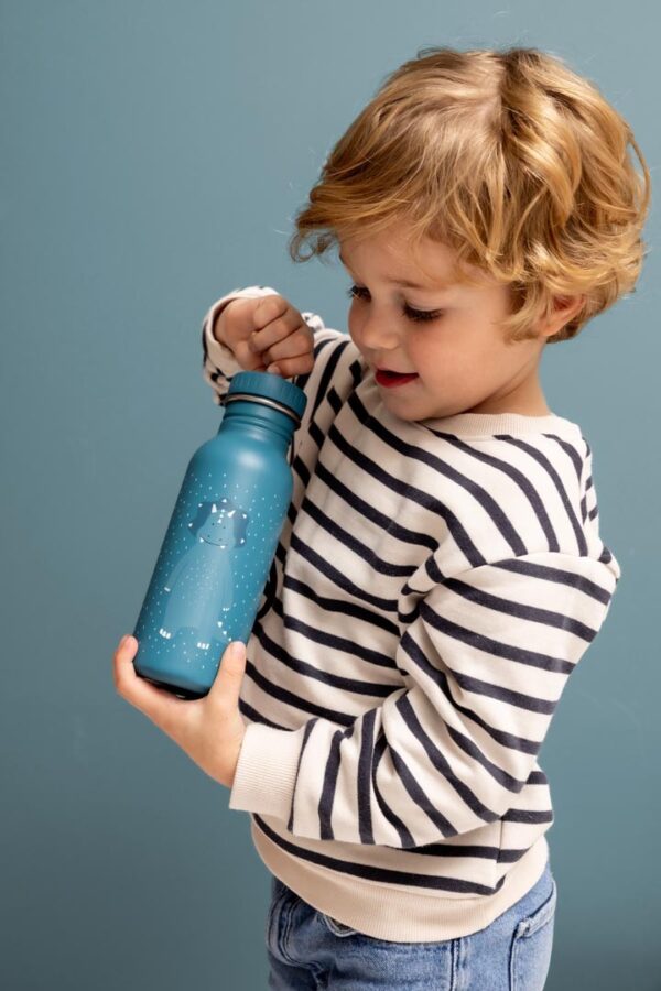 Stainless Steel Bottle 350 ml – Mr. Triceratops