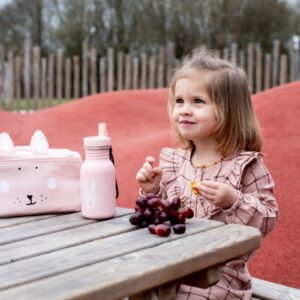 Stainless Steel Bottle 350 ml – Mrs. Bunny
