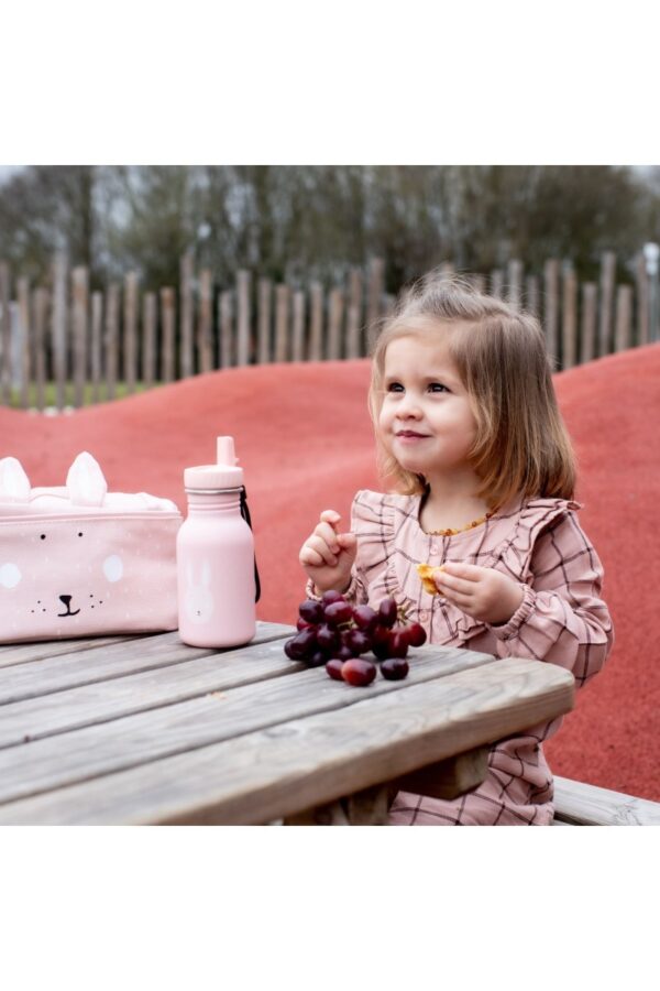 Stainless Steel Bottle 350 ml – Mrs. Bunny