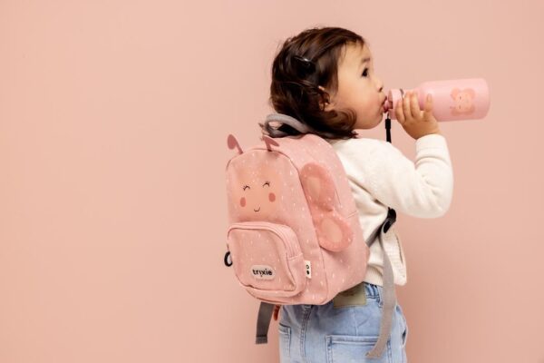 Stainless Steel Bottle 350 ml – Mrs. Butterfly