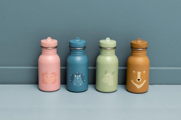 Stainless Steel Bottle 350 ml – Mrs. Butterfly