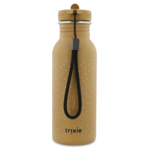 Stainless Steel Bottle 500 ml – Mr. Bear