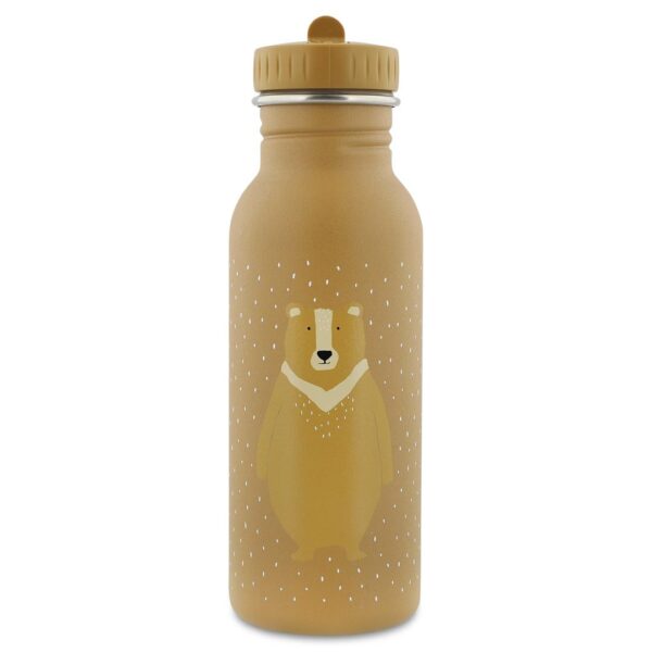 Stainless Steel Bottle 500 ml – Mr. Bear