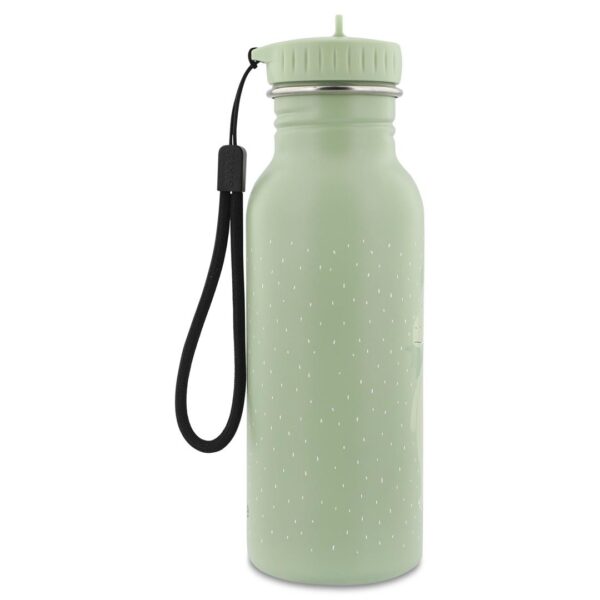 Stainless Steel Bottle 500 ml – Mr. Dragon