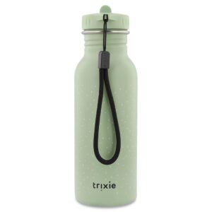 Stainless Steel Bottle 500 ml – Mr. Dragon