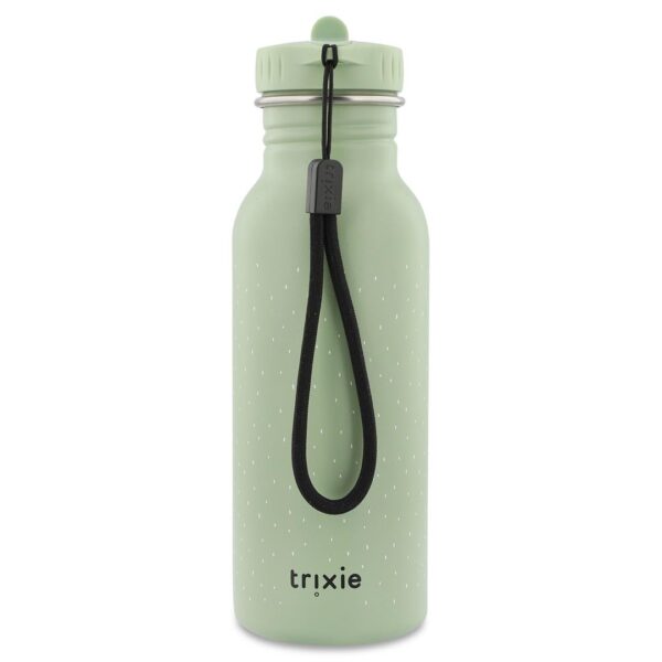 Stainless Steel Bottle 500 ml – Mr. Dragon