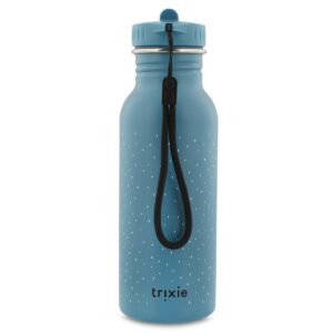 Stainless Steel Bottle 500 ml – Mr. Triceratops
