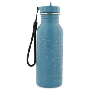 Stainless Steel Bottle 500 ml – Mr. Triceratops