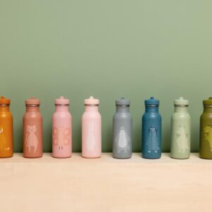 Stainless Steel Bottle 500 ml – Mr. Dragon