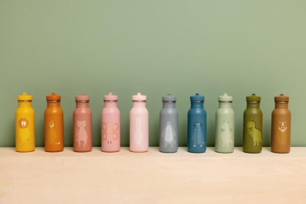 Stainless Steel Bottle 500 ml – Mr. Bear