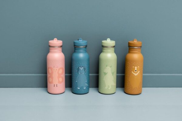 Stainless Steel Bottle 500 ml – Mr. Triceratops