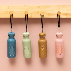 Stainless Steel Bottle 500 ml – Mr. Dragon