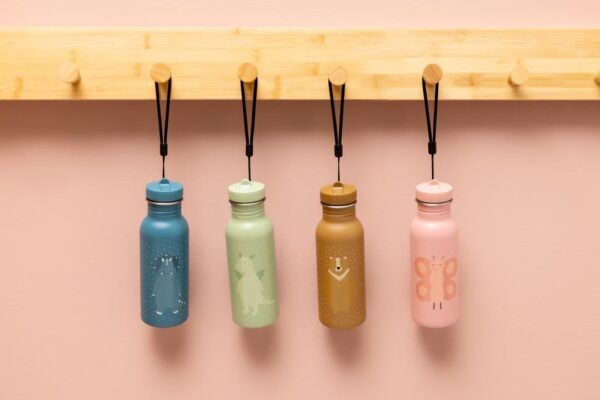 Stainless Steel Bottle 500 ml – Mr. Dragon