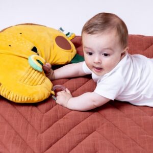 Tummy Time Pillow – Mr. Lion