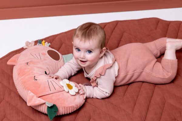 Tummy Time Pillow – Mrs. Cat