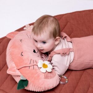 Tummy Time Pillow – Mrs. Cat