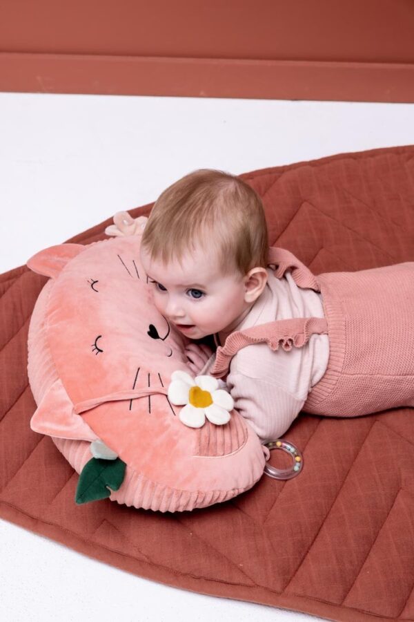 Tummy Time Pillow – Mrs. Cat