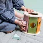 Wooden Rolling Shape Sorter