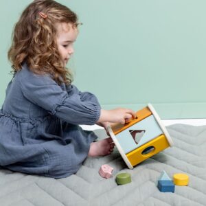 Wooden Rolling Shape Sorter