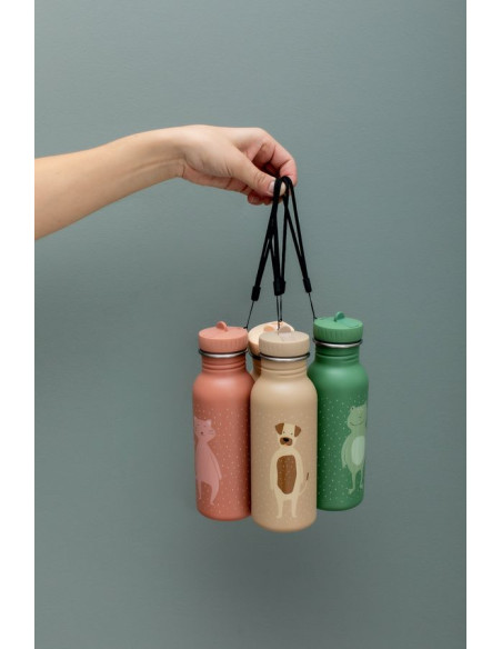 Stainless Steel Bottle 500 ml – Mr Frog