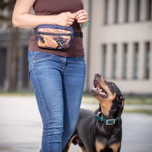 BLACK HOLE Dog Treat Bag with 2 Pockets
