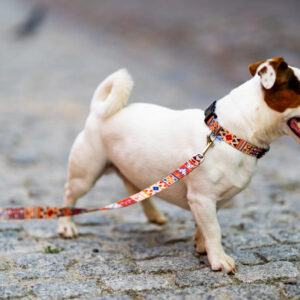Quick-Release Dog Collar – Boho, 10–50 mm