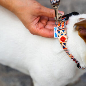 Quick-Release Dog Collar – Boho, 10–50 mm