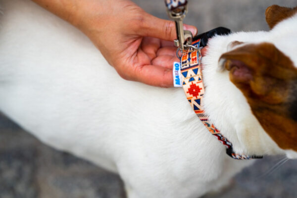 Quick-Release Dog Collar – Boho, 10–50 mm