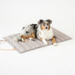 Fosser Quilted Dog Travel Mat – Nut