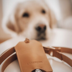Lussa Dog Leash & Saku Bag Dispenser Set – Camel