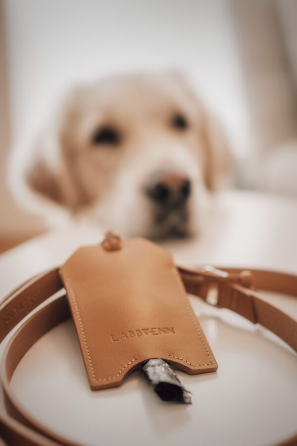 Lussa Dog Leash & Saku Bag Dispenser Set – Camel