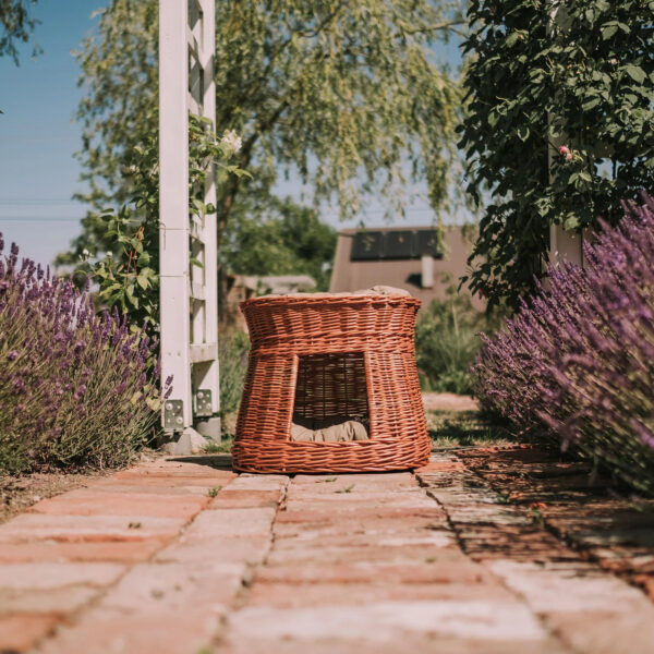 Cari Two-Level Wicker Cat House with Cushions