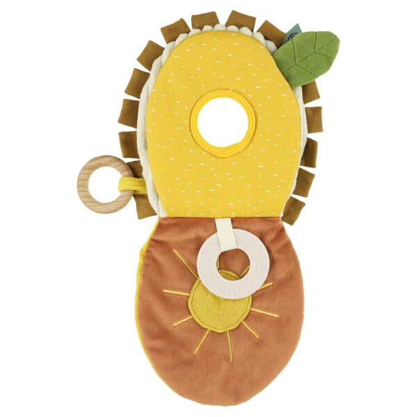 Sensory book – Mr. Lion