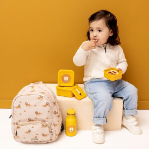 Nesting Snack Boxes, 3-Piece Set – Mr. Lion