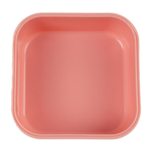 Snack Box with Clips – Fruit Fairy Mrs. Butterfly