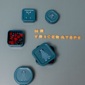 Snack Boxes with Clips, 2-Piece Set – Mr. Triceratops