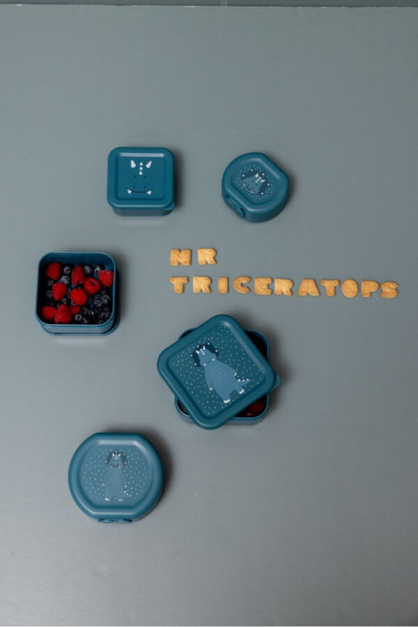 Snack Boxes with Clips, 2-Piece Set – Mr. Triceratops