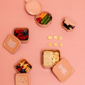 Snack Boxes with Clips, 2-Piece Set – Mrs. Cat