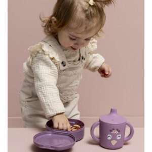 Snack Boxes with Clips, 2-Piece Set – Mrs. Peacock