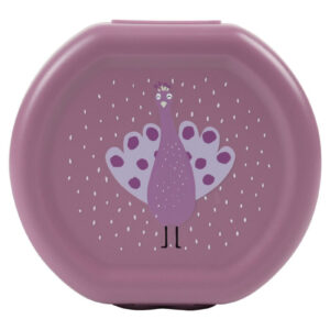 Snack Boxes with Clips, 2-Piece Set – Mrs. Peacock