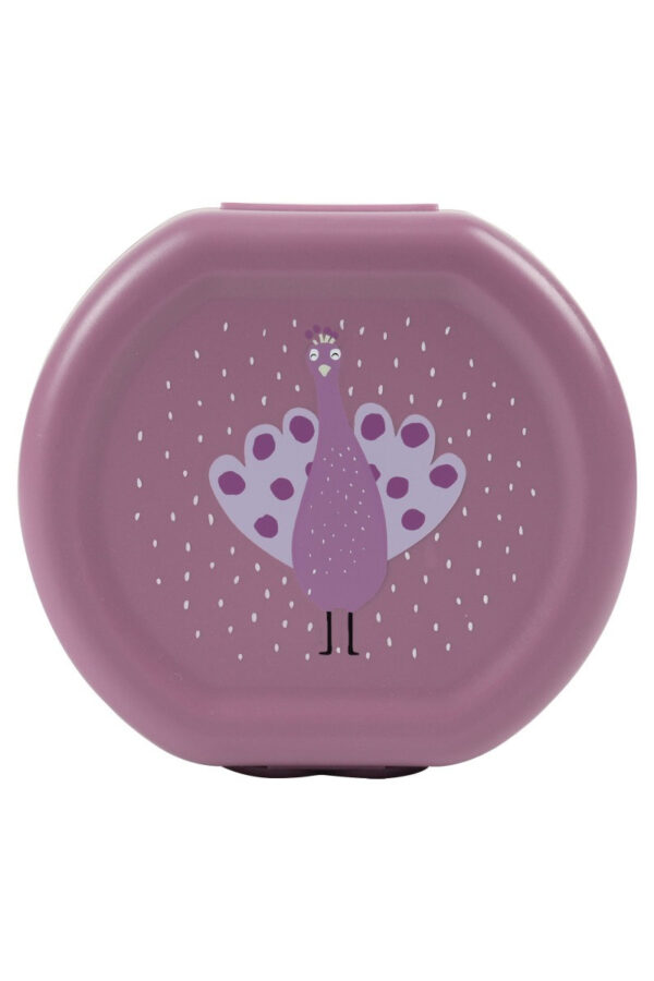 Snack Boxes with Clips, 2-Piece Set – Mrs. Peacock