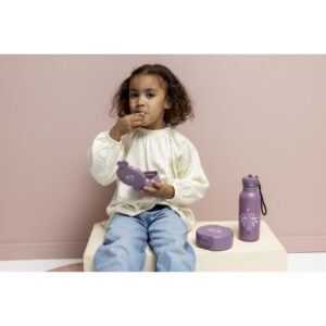 Snack Boxes with Clips, 2-Piece Set – Mrs. Peacock