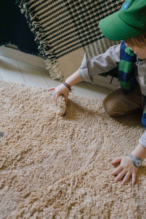 Washable Teddy Bear Rug – 120 × 122 cm